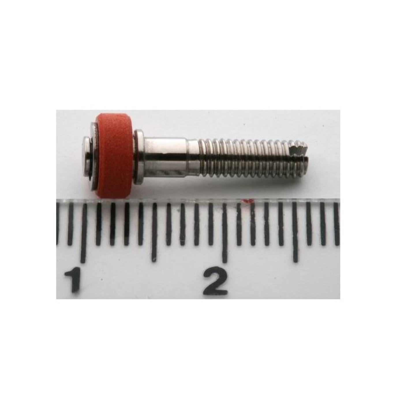 Slide 1